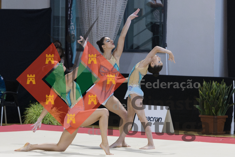 1664_Campeonato Nacional 1ª Div - ACRO